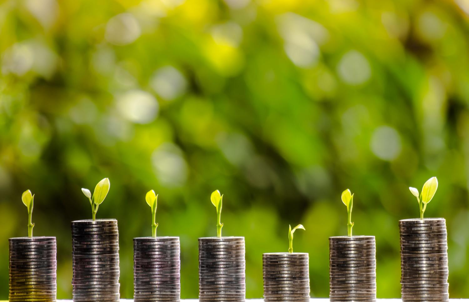 Plants growing on stacks of coins