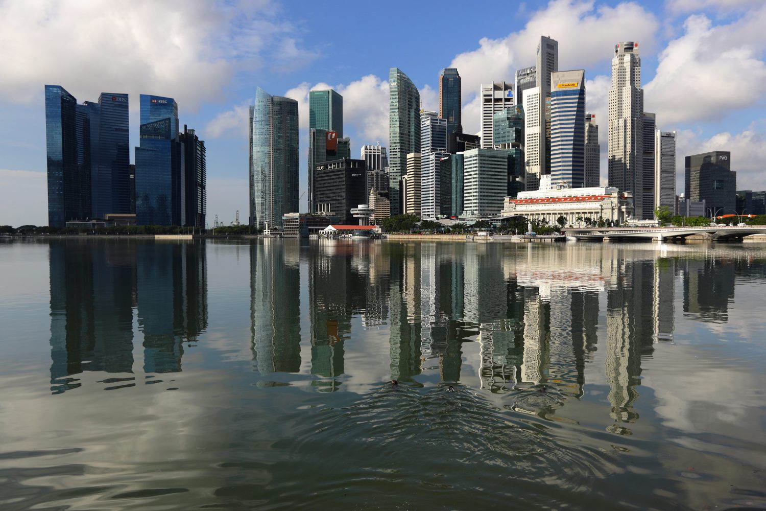 A bevy of smooth coated otters swim towards the city skyline at Marina Bay on November 17, 2021 in Singapore. Wild otters are making a comeback to the urban city state with the increasing numbers of the sea animals sparking concerns about overpopulation. (Photo by Suhaimi Abdullah/NurPhoto)
