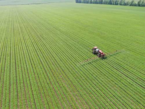 A tractor works in a field in Qiqihar city, northeast China's Heilongjiang province, 1 July 2020.No Use China. No Use France.