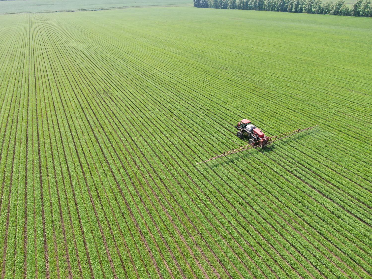 A tractor works in a field in Qiqihar city, northeast China's Heilongjiang province, 1 July 2020.No Use China. No Use France.