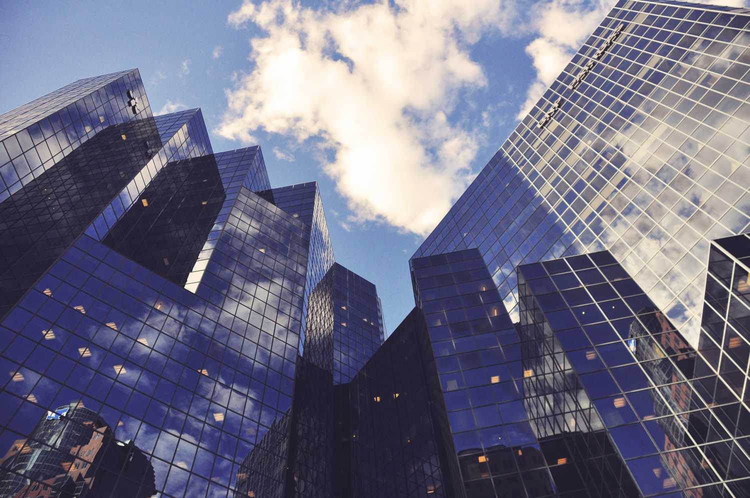 skyscrapers in a big city