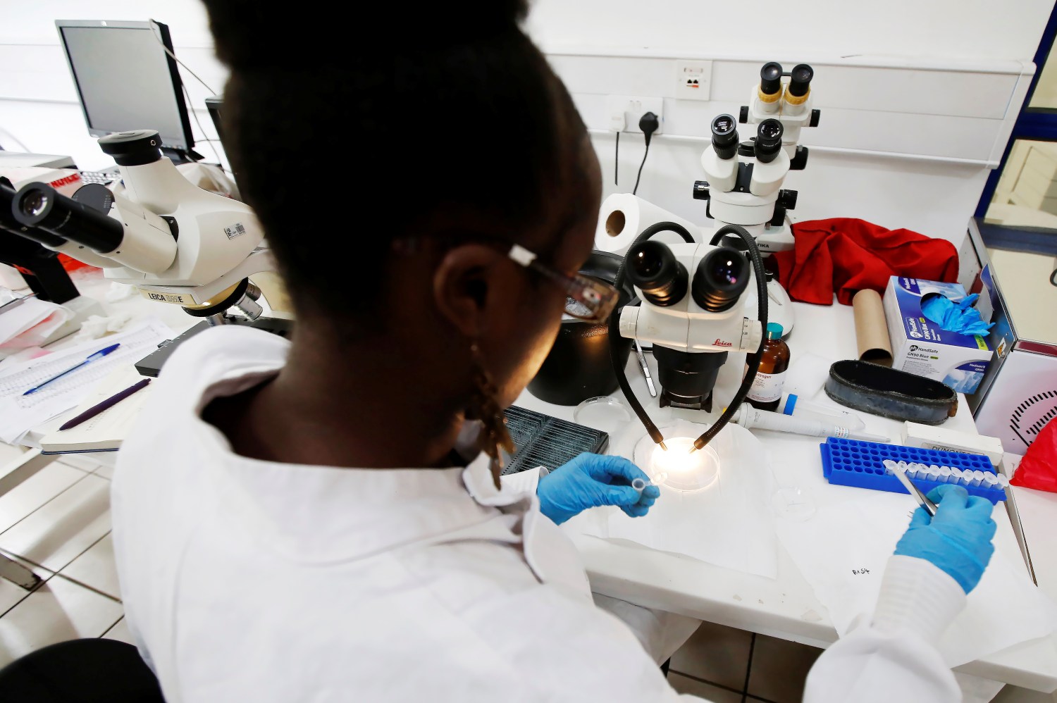 A researcher works inside a laboratory at the International Centre of Insect Physiology and Ecology (ICIPE) headquarters in Nairobi, Kenya May 11, 2020. Picture taken May 11, 2020. REUTERS/Jackson Njehia