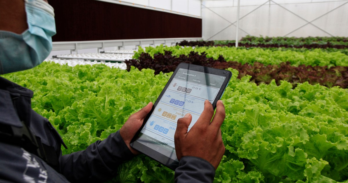 The digital transformation of agriculture in Indonesia