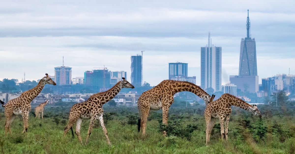 Financing the preservation of diverse life on Earth in a capitalist system Financing the preservation of diverse life on Earth in a capitalist system