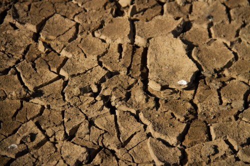 A view shows dried cracked up soil on the edge of the Lake Wegnia, in Sahel region of Koulikoro, Mali November 23, 2019. Picture taken November 23, 2019. REUTERS/Arouna Sissoko