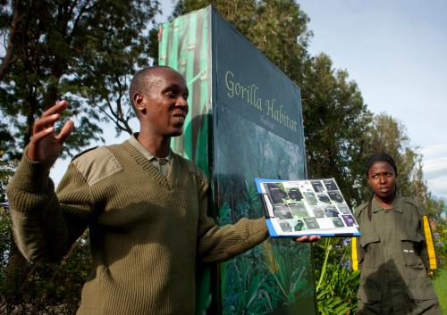 Volcanoes national park guides, Northwest Province, Rehengeri, Rwanda.NO USE FRANCE