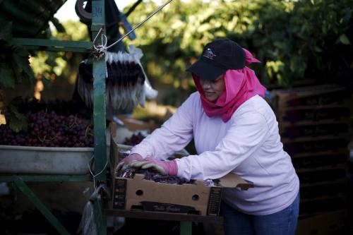 A farm worker picks table grapes in Maricopa, California, United States, July 24, 2015. California is in the fourth year of a catastrophic drought. Picture taken July 24, 2015. REUTERS/Lucy Nicholson