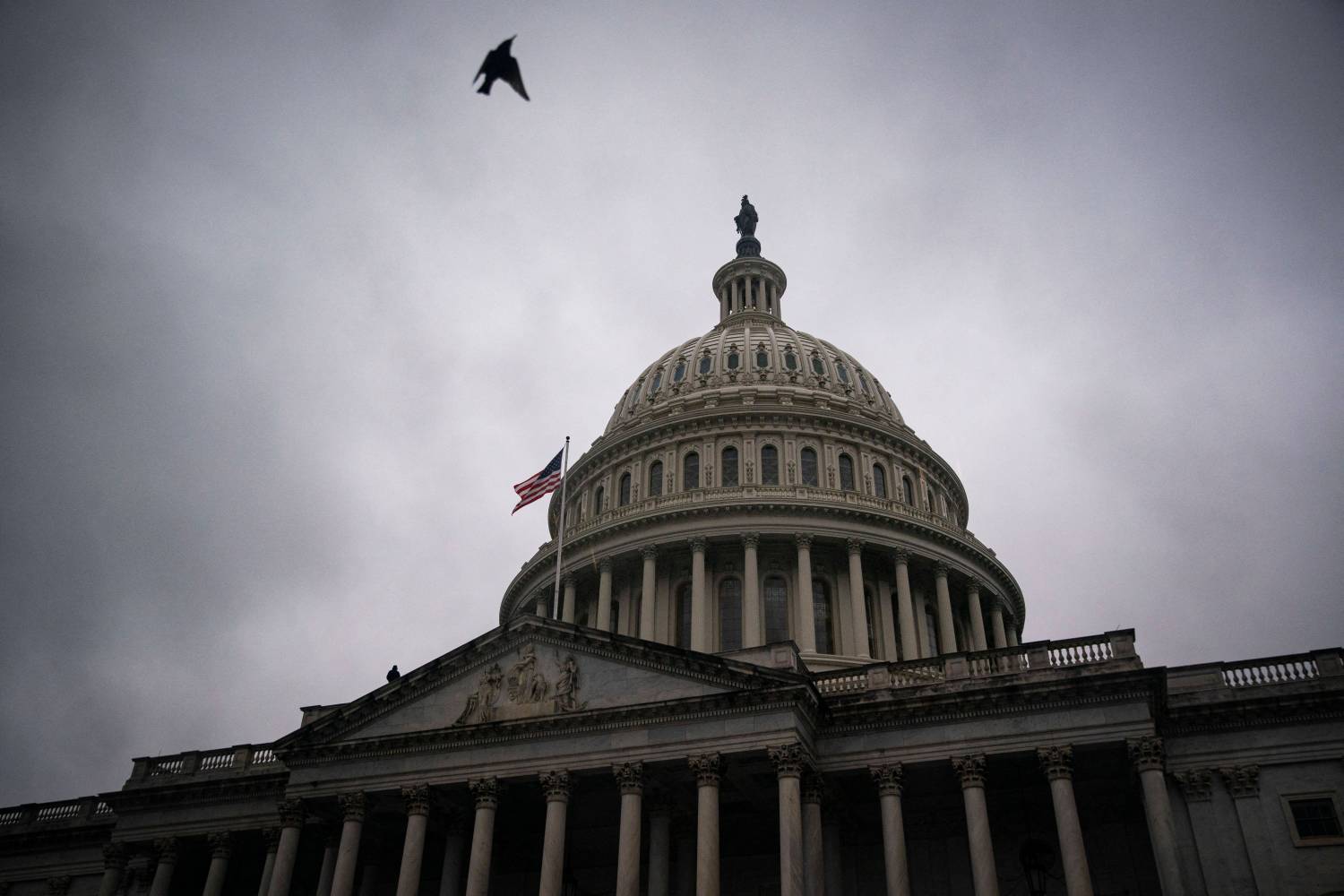 A bird flies past the U.S. Capitol in Washington, D.C., U.S., on Thursday, March 17, 2022. Photo by Al Drago/Pool/ABACAPRESS.COM