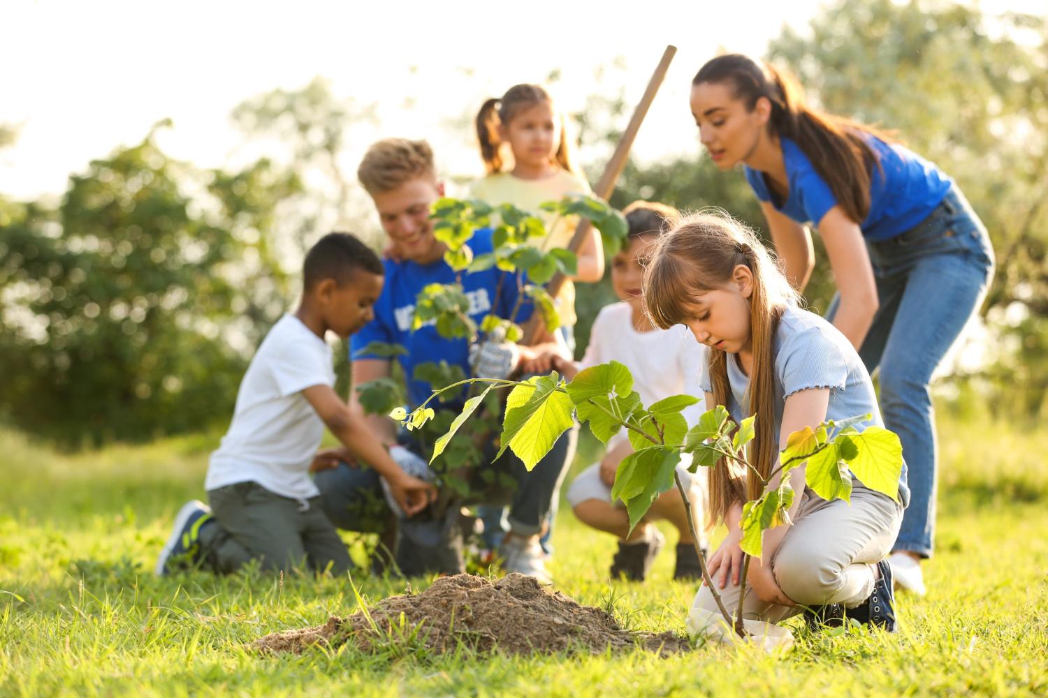 Children planting a plant outdoors with help from woman teacher.