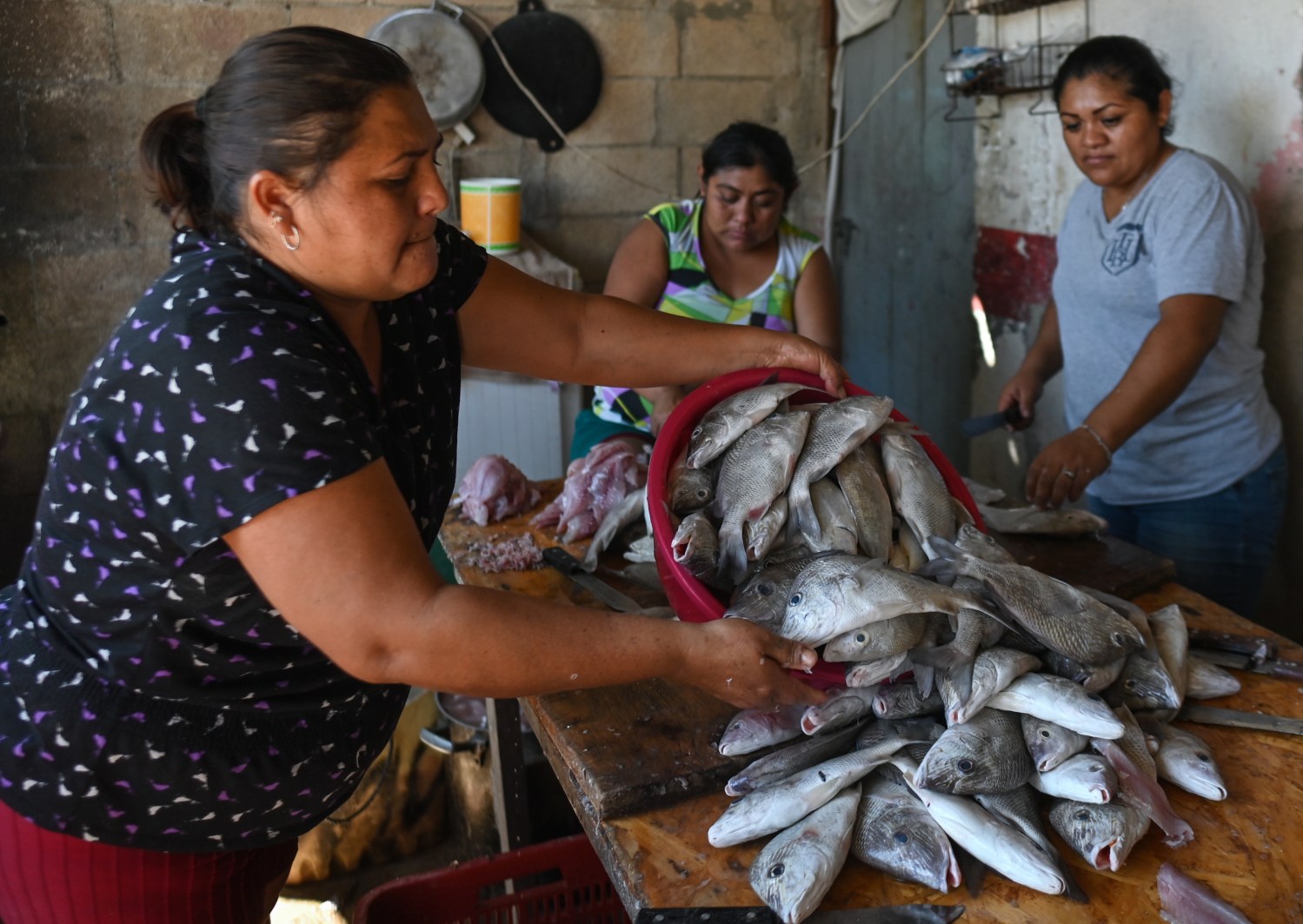 Local women peel and clean freshly caught fish by family members at their home in Celestun.On Tuesday, February 22, 2022, in Celestun, Yucatan, Mexico. (Photo by Artur Widak/NurPhoto)NO USE FRANCE