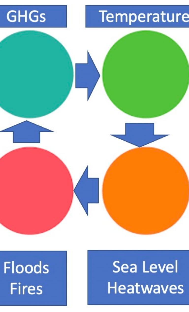 Connecting the dots in the climate change ecosystem graphic