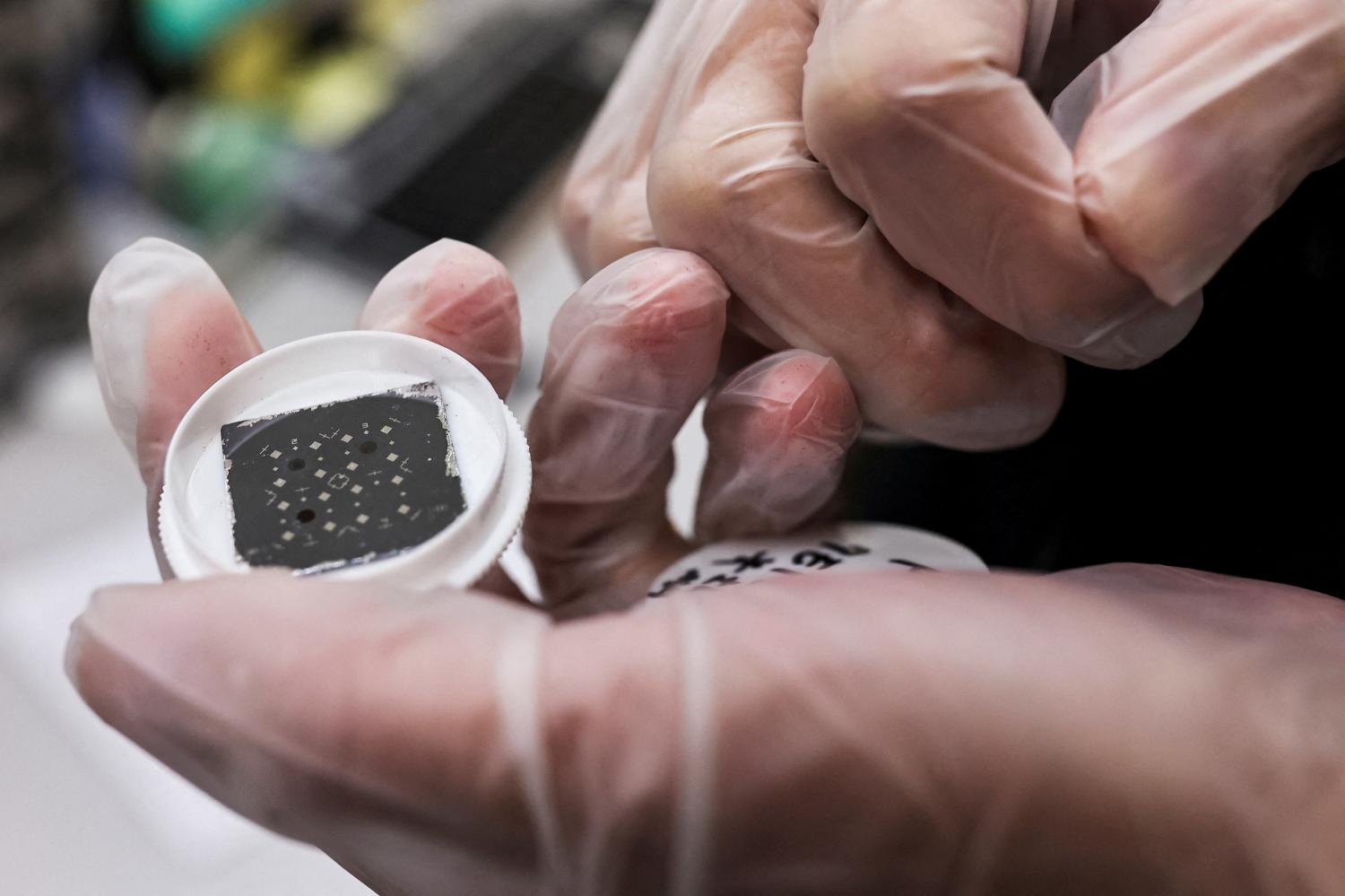 FILE PHOTO: An engineer holds a chip while posing for a photo, he is in the middle of testing reactions from different materials and shapes that can have on the chip at the Taiwan Semiconductor Research Institute (TSRI) in Hsinchu, Taiwan, February 11, 2022.  REUTERS/Ann Wang/File Photo