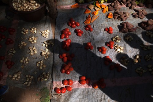 Shadows are cast over tomatoes for sale in the central market in Diabaly January 23, 2013. REUTERS/Joe Penney