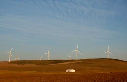 Wind turbines produce renewable energy outside Caledon, South Africa, May 20, 2020. Picture taken May 20, 2020. REUTERS/Mike Hutchings