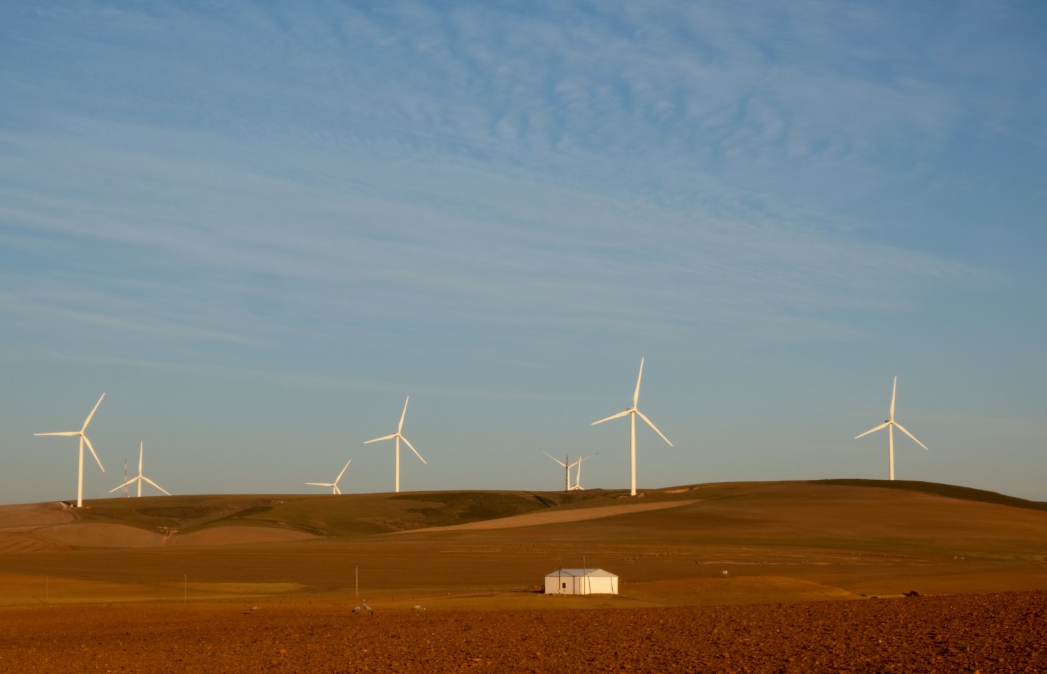 Wind turbines produce renewable energy outside Caledon, South Africa, May 20, 2020. Picture taken May 20, 2020. REUTERS/Mike Hutchings