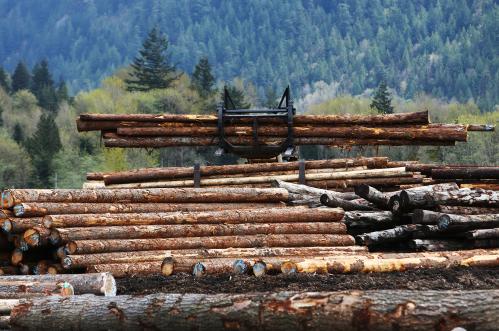 Piles of logs at pictured at Sqomish Forestry LP in Squamish, British Columbia, Canada April 25, 2017.  REUTERS/Ben Nelms