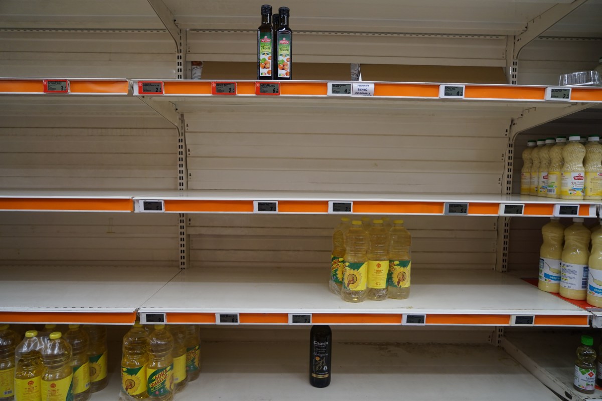 The war in Ukraine triggered a global food shortage