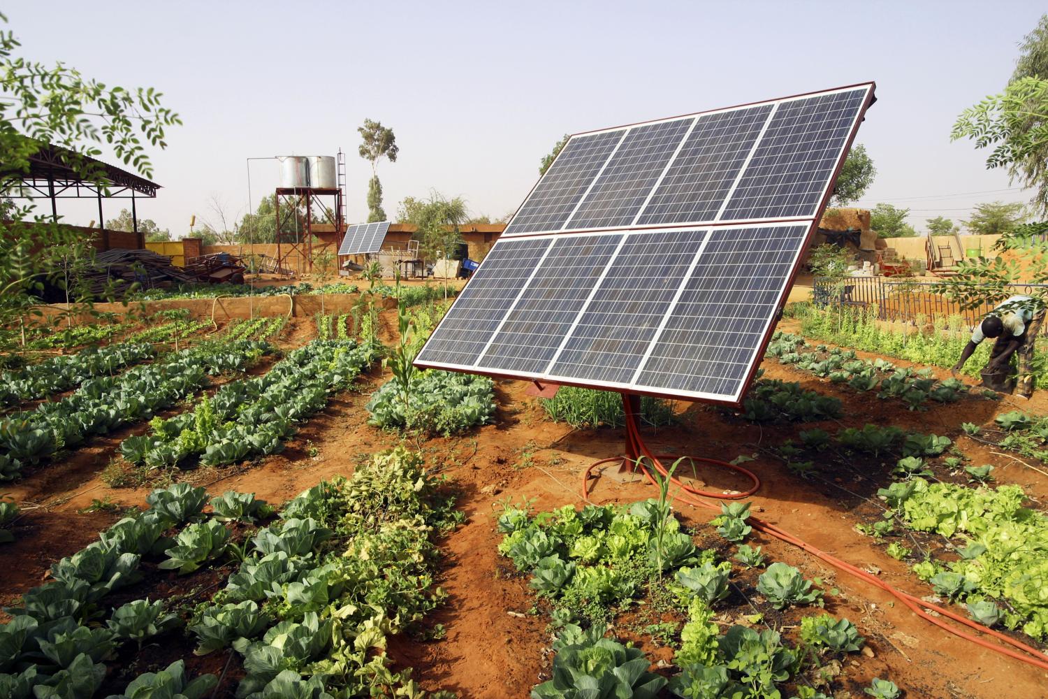 Solar panels in a rural area