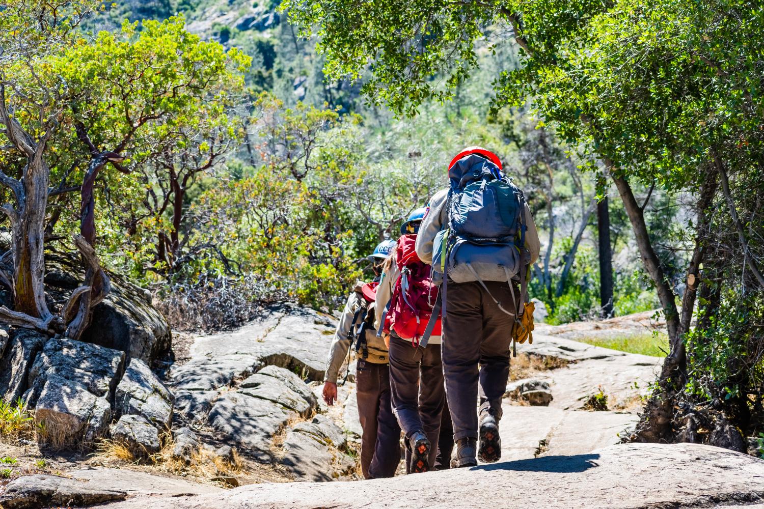 Backpackers hiking through national park