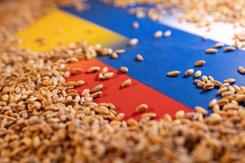 FILE PHOTO: Grain is placed on Ukrainian and Russian flags in this picture illustration taken May 9, 2022. REUTERS/Dado Ruvic/Illustration/File Photo