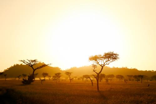 africa landscape