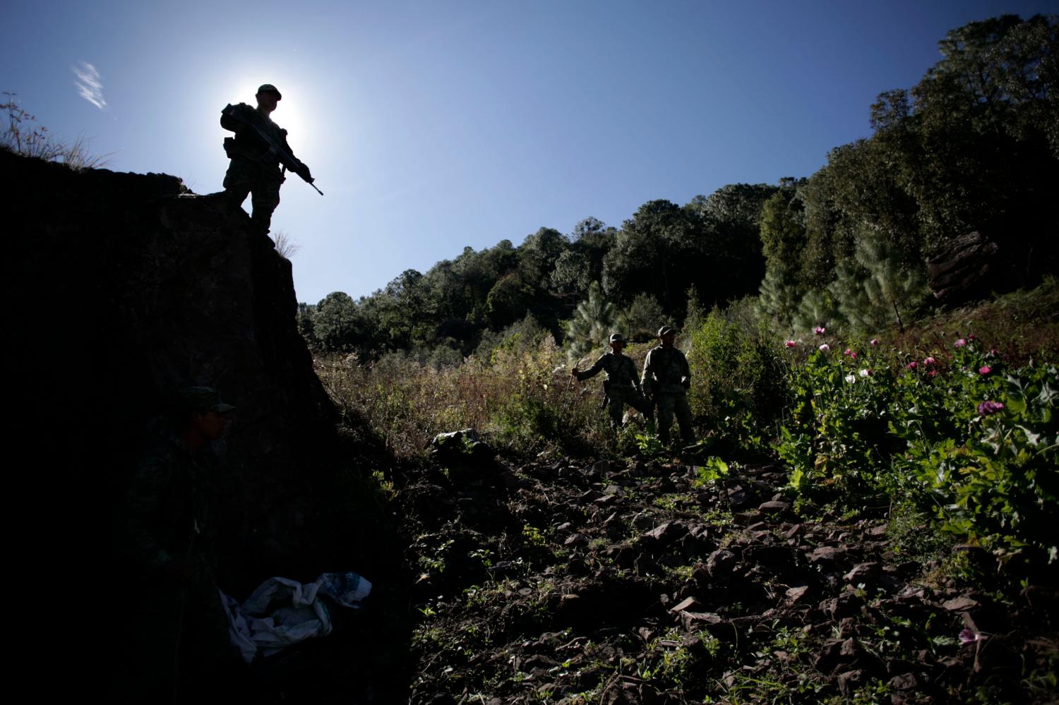 Soldiers patrol at a poppy plantation used to make heroin during an operation of destruction at Sierra de Culiacan in state of Sinaloa, December 8, 2011. High above Mexico's drug-producing heartland, Mexican soldiers are combing the fertile fields of the northwestern state of Sinaloa in search of the billion-dollar poppy and marijuana farms that litter the region. In the operative the Mexican troops destroyed packed marijuana as well as bundles of the plant for processing, accounting for over 100 tonnes, according Army Commander General, Moises Melo. Picture taken December 8, 2011. REUTERS/Bernardo Montoya (MEXICO - Tags: DRUGS SOCIETY MILITARY)