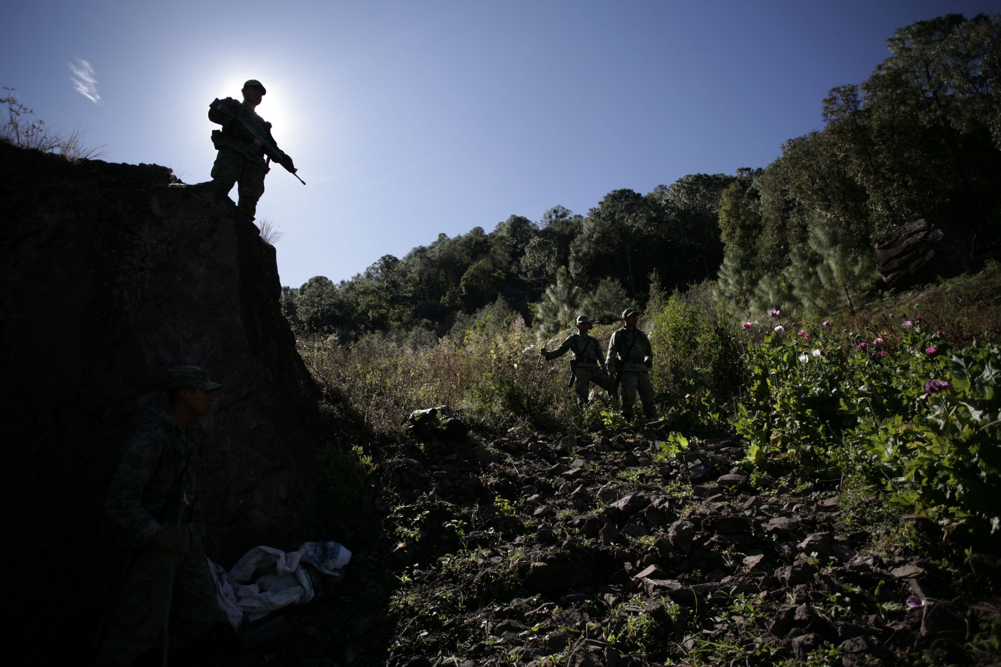 The foreign policies of the Sinaloa Cartel and CJNG – Part III: Africa