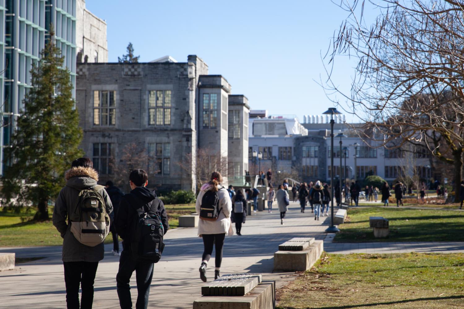 Students on a college campus