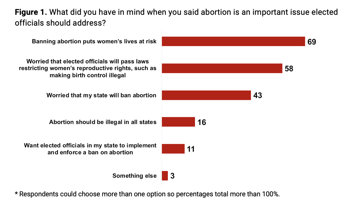 Chart illustrating responses to: What did you have in mind when you said abortion is an important issue elected officials should address?