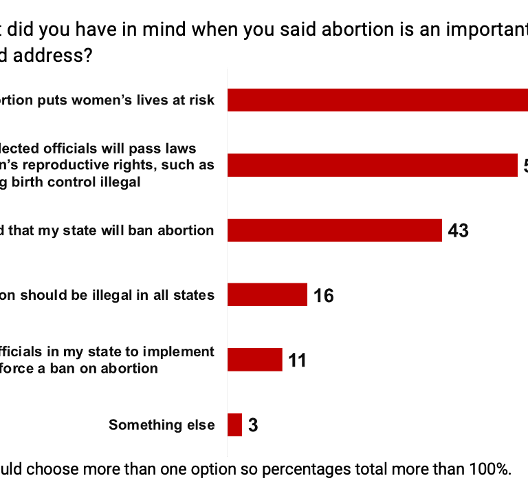 Chart illustrating responses to: What did you have in mind when you said abortion is an important issue elected officials should address? 