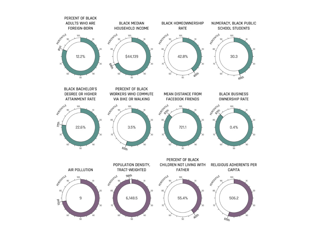 example graphic