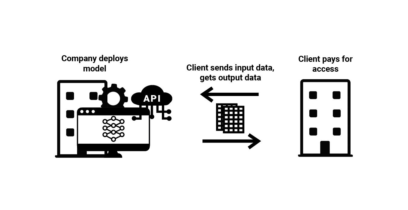 Restricted ML Model Access