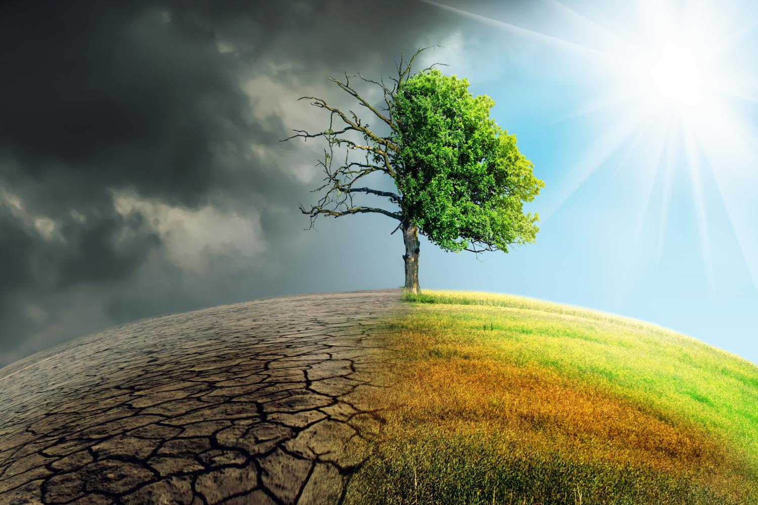 A barren or green climate scenario