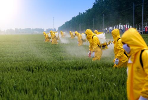 Spraying pesticides on a farm