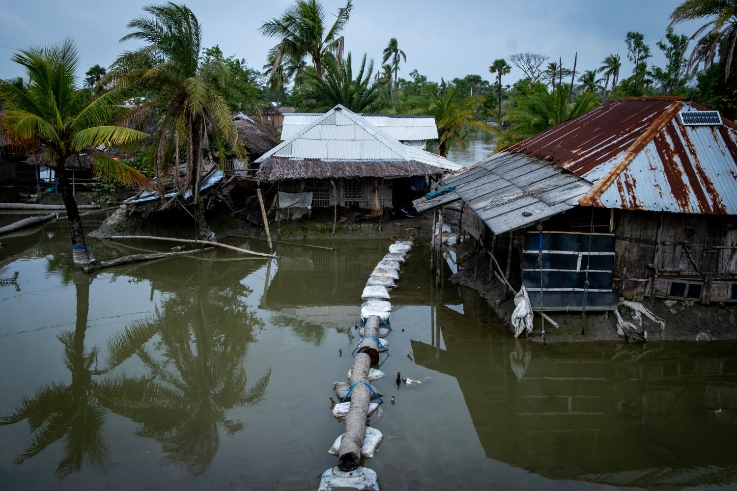 Bangladesh, Satkhira Province, Pratab Nagar on 2021-10-27. Pratab Nagar village severely affected by climate change, including rising water levels, erosion and salinisation. Photograph by Martin Bertrand.Bangladesh, Province de Satkhira, Pratab Nagar le 2021-10-27. Le village de Pratab Nagar durement affecte par le dereglement climatique, nottamment la montee des eaux, l erosion des et la salinisation. Photographie de Martin Bertrand.