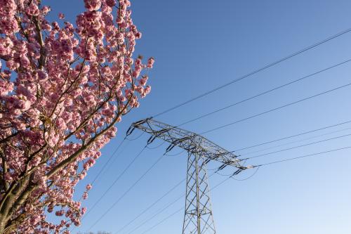 19 April 2020, Saxony-Anhalt, Magdeburg: A Japanese ornamental cherry blossoms on the Holzweg in Magdeburg. Next to it stands a large power pole. Photo: Stephan Schulz/dpa-Zentralbild/ZB