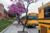 School buses waiting for students in front of Burbank High School. Burbank, California, USA - March 5, 2016.