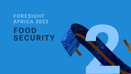 Foresight Africa 2023 Chapter 2