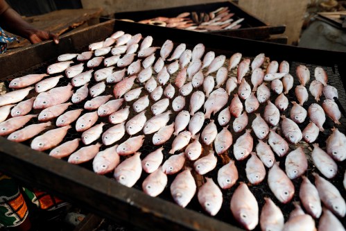 Fish are seen on a tray before they are smoked for sale in Jamestown, Accra, Ghana November 28, 2018. REUTERS/Zohra Bensemra