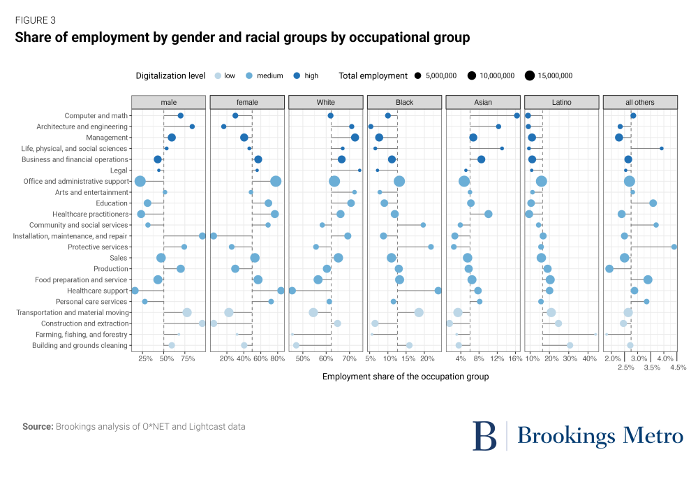 Figure 3: Share of employment by gender and racial groups by occupational group