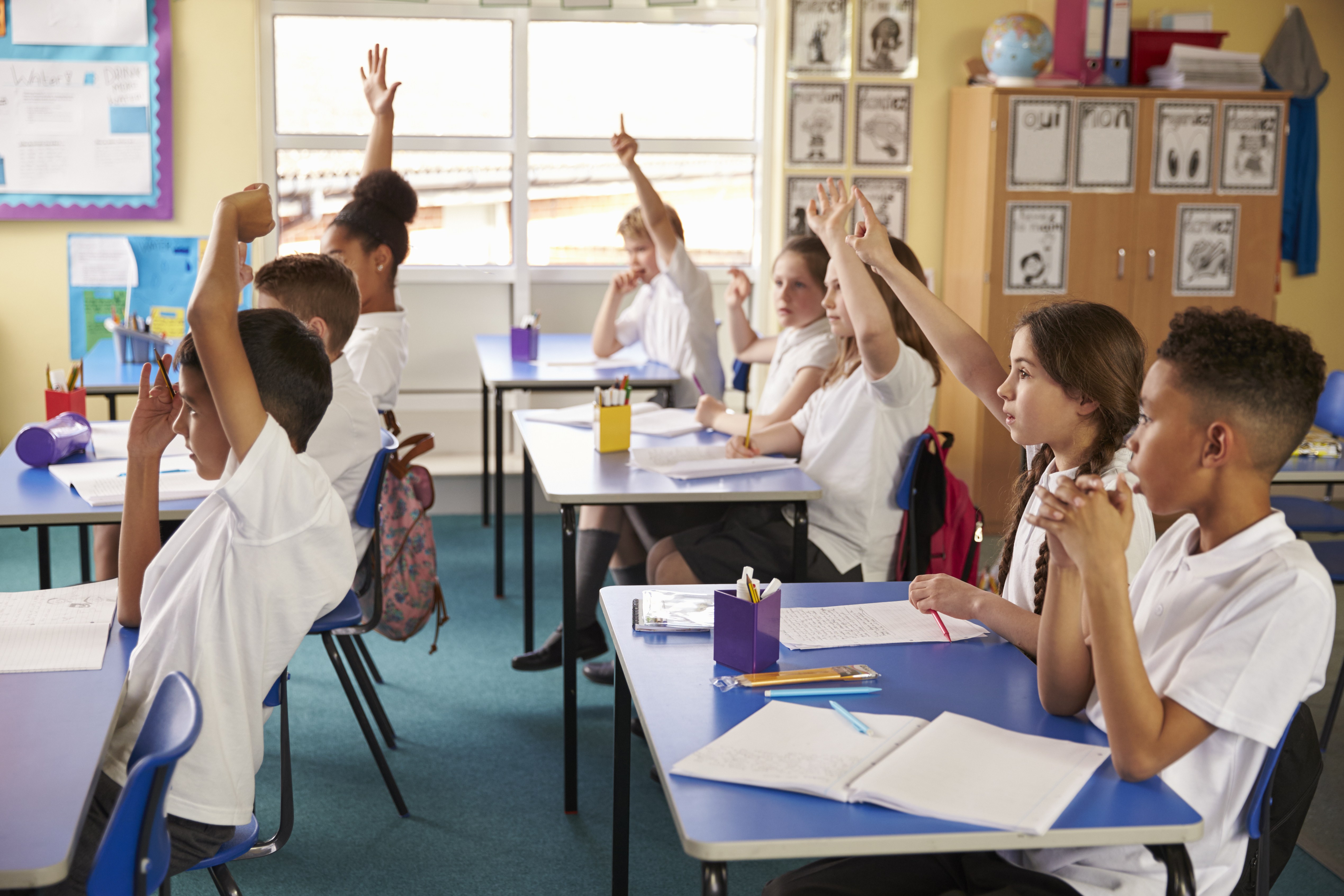 Why understanding the historical purposes of modern schooling matters