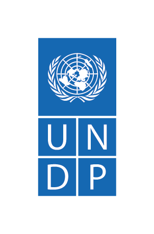 The logo for the UN Development program with white letters on a blue background.