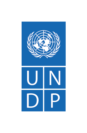 The logo for the UN Development program with white letters on a blue background.