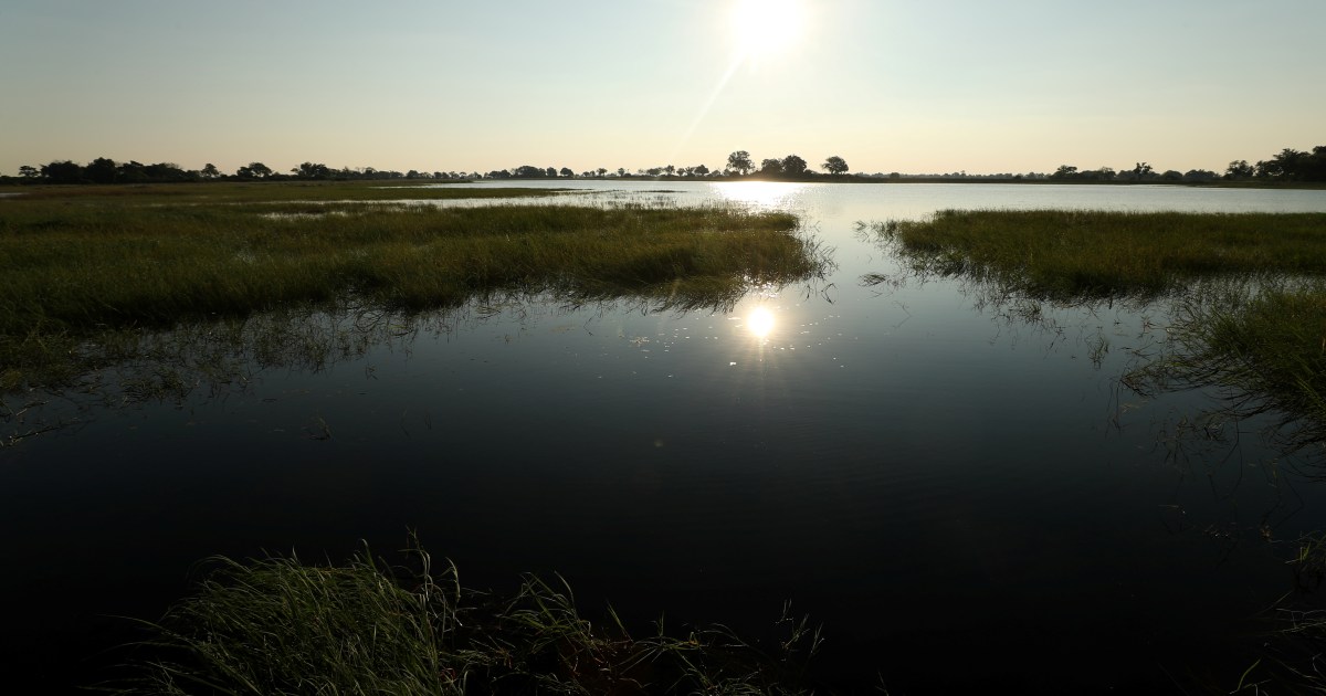 Climate-smart agriculture in Africa - Vimarsana News