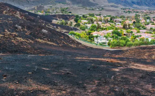 Suburban Neighborhood after Wildfire Burned Hillside Right up to Edge of Homes