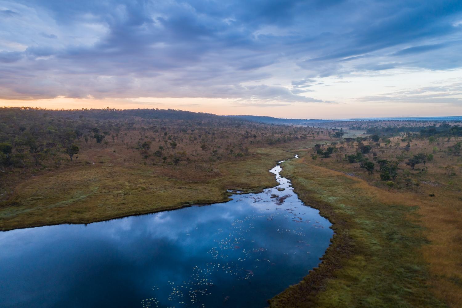 Photo by Kostadin Luchansky / National Geographic Okavango Wilderness Project.