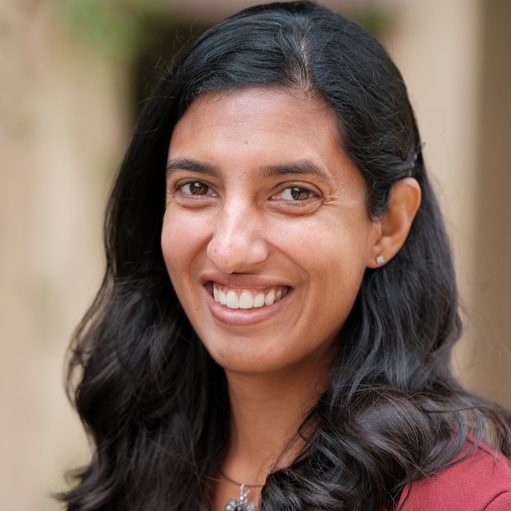 Gopi Shah Goda | Brookings