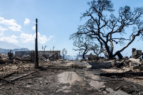 Lahaina, Maui, Hawaii, USA August 9, 2023. An unidentified man stands in the middle of Front Stree the morning after the devastating fires that destroyed Lahaina Town on Maui.