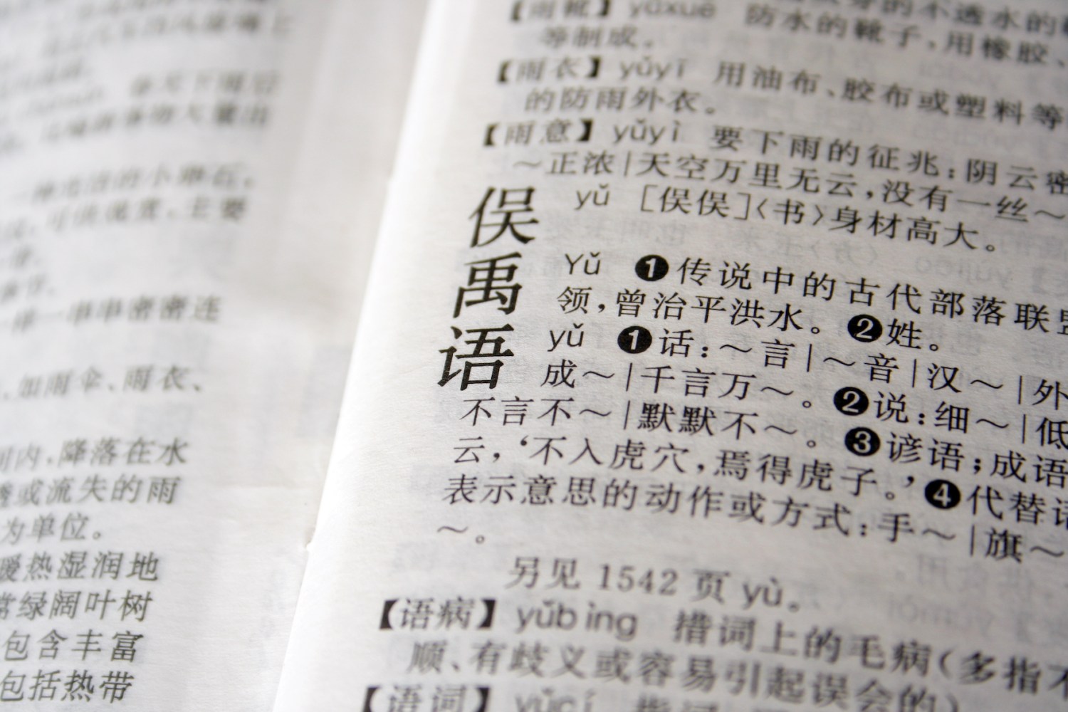 "Language" in Chinese with character dictionary.