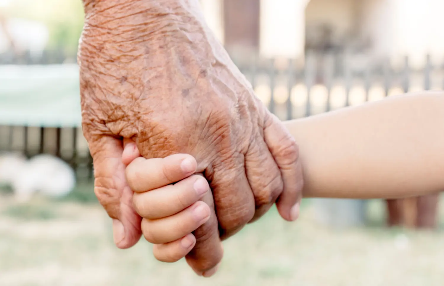A grandparent holding a child's hand